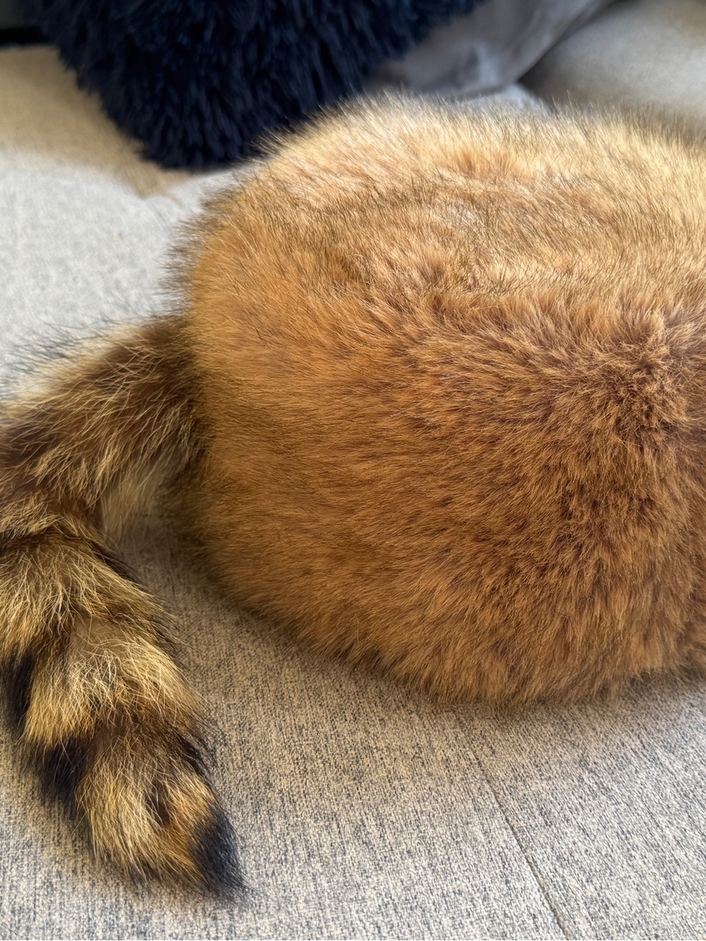 Faux Fur Davy Crockett Hat with Tail, One Size. Raccoon Tail. New. - Picture 3 of 3